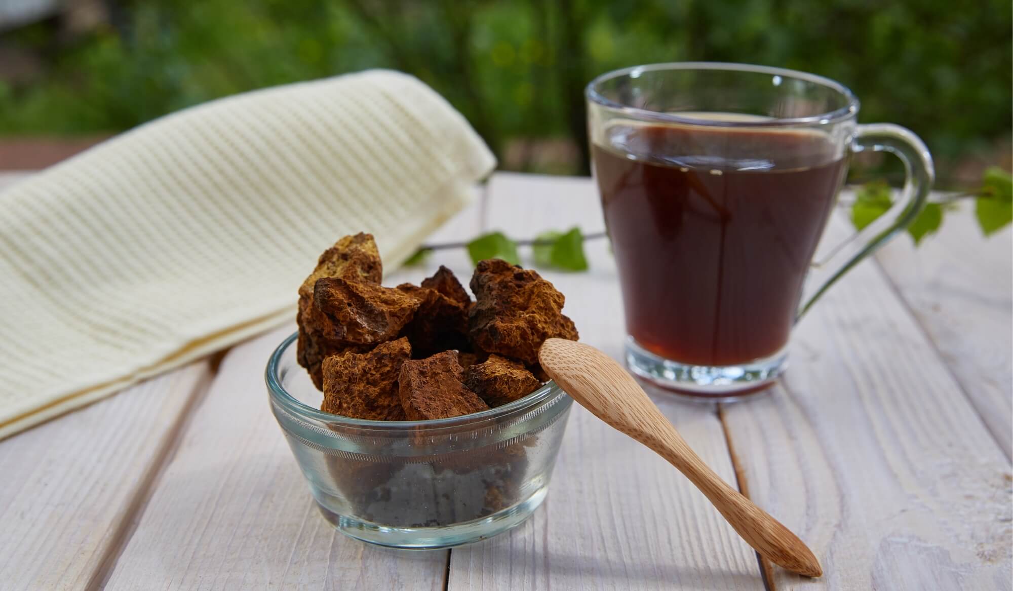 Pine Needle Chaga Tee - das Rezept aus unserer Zeremonie