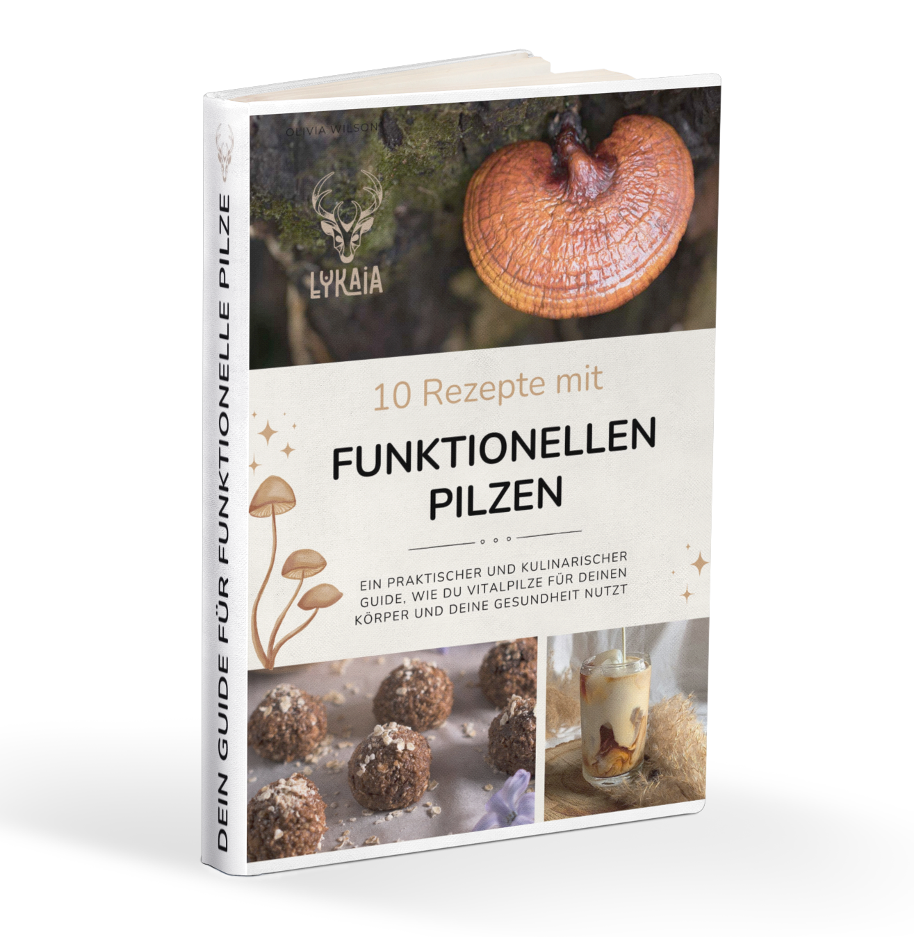 eBook: 10 Rezepte mit funktionellen Pilzen